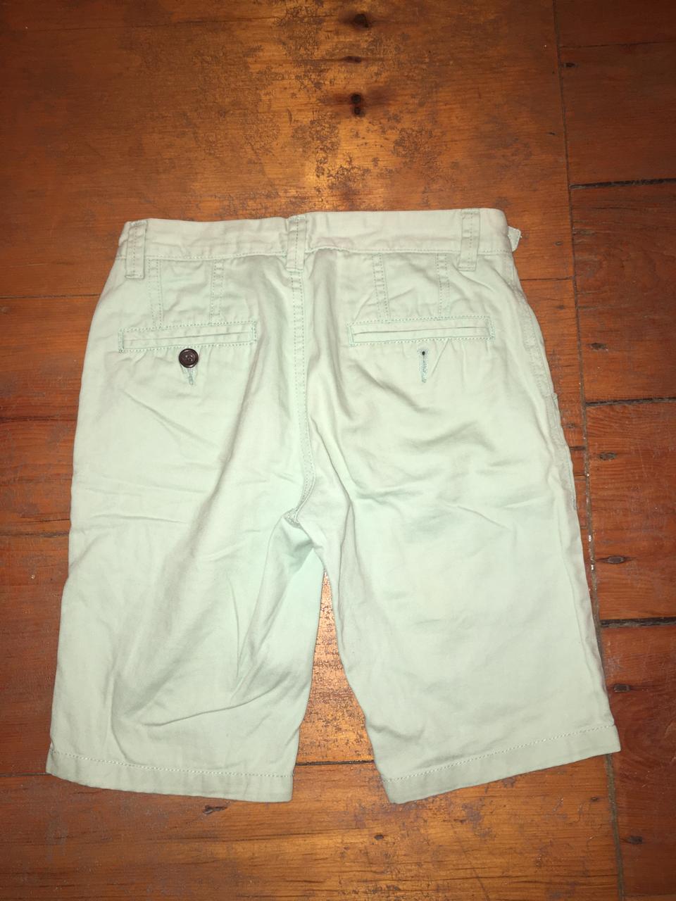 Mint Chino Shorts