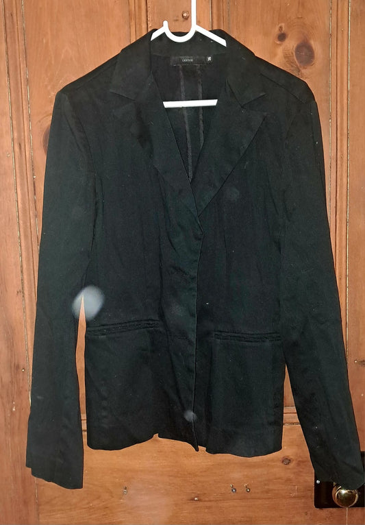 Define Blazer