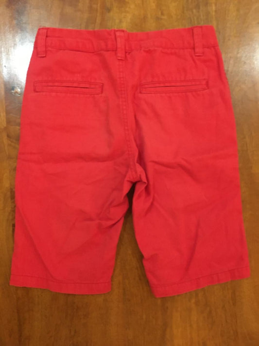 Woolworths Chino Shorts