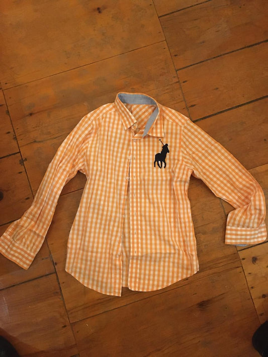 Polo Big Check Long Sleeve Button Up Shirt