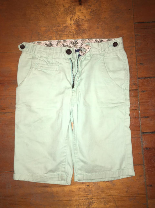 Mint Chino Shorts