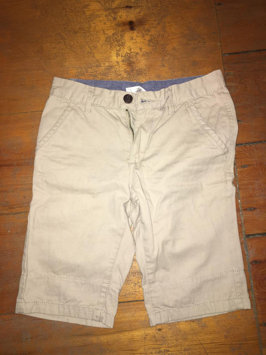 Woolworths Chino Shorts