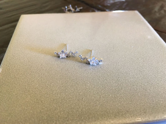Star on Star Earrings